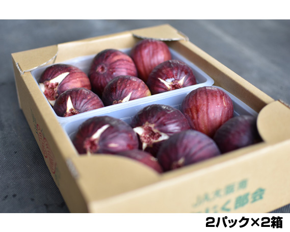 朝採りいちじく　約2kg