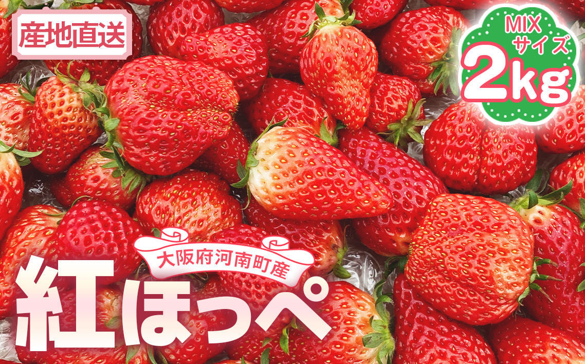 【紅ほっぺ】MIX（サイズいろいろ）2kg程度