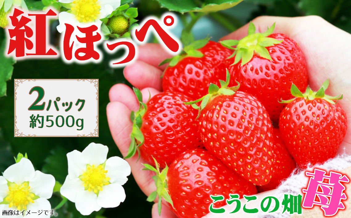 こうこの畑　苺　紅ほっぺ