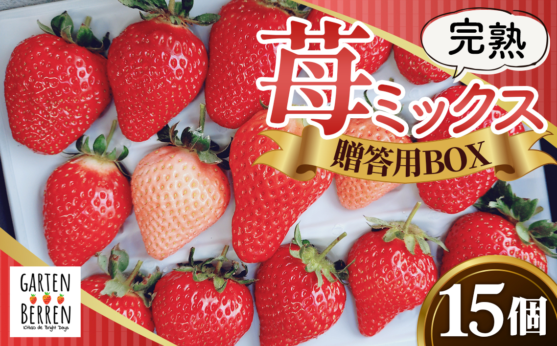 完熟苺ミックス15粒贈答用BOX