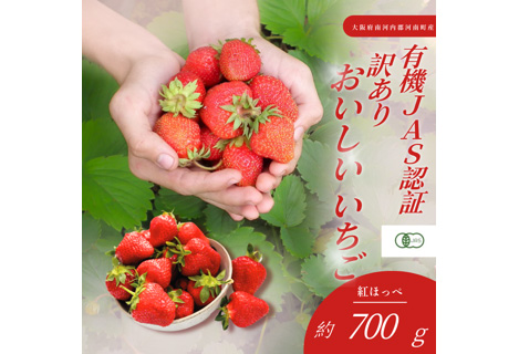 訳あり　おいしいいちご　有機JAS認証いちご　700g　36粒