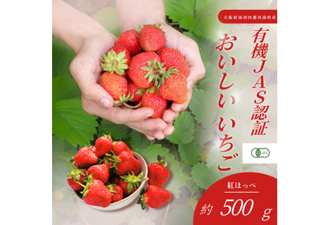おいしいいちご　有機JAS認証いちご　500g　24粒
