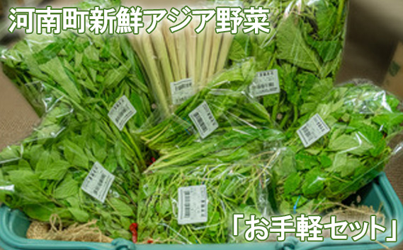 河南町新鮮アジア野菜「お手軽セット」