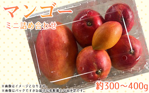 名もなきマンゴーミニ詰め合わせ約300～400g　大きさ不揃い