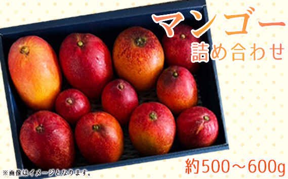 名もなきマンゴー詰め合わせ約500～600g　大きさ不揃い