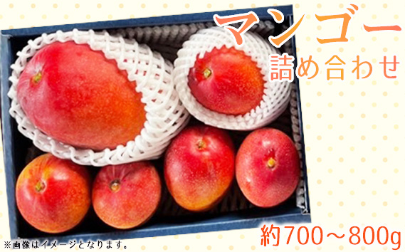 名もなきマンゴー詰め合わせ約700～800g　大きさ不揃い