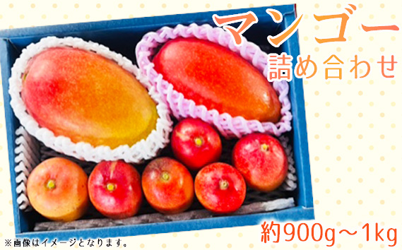 名もなきマンゴー詰め合わせ約900g～1kg　大きさ不揃い