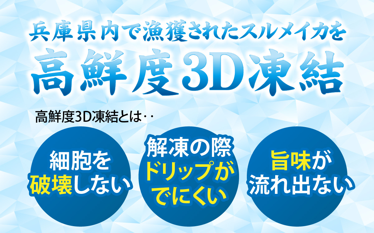 兵庫県産 とれたて スルメイカ 冷凍 約1kg 5杯前後