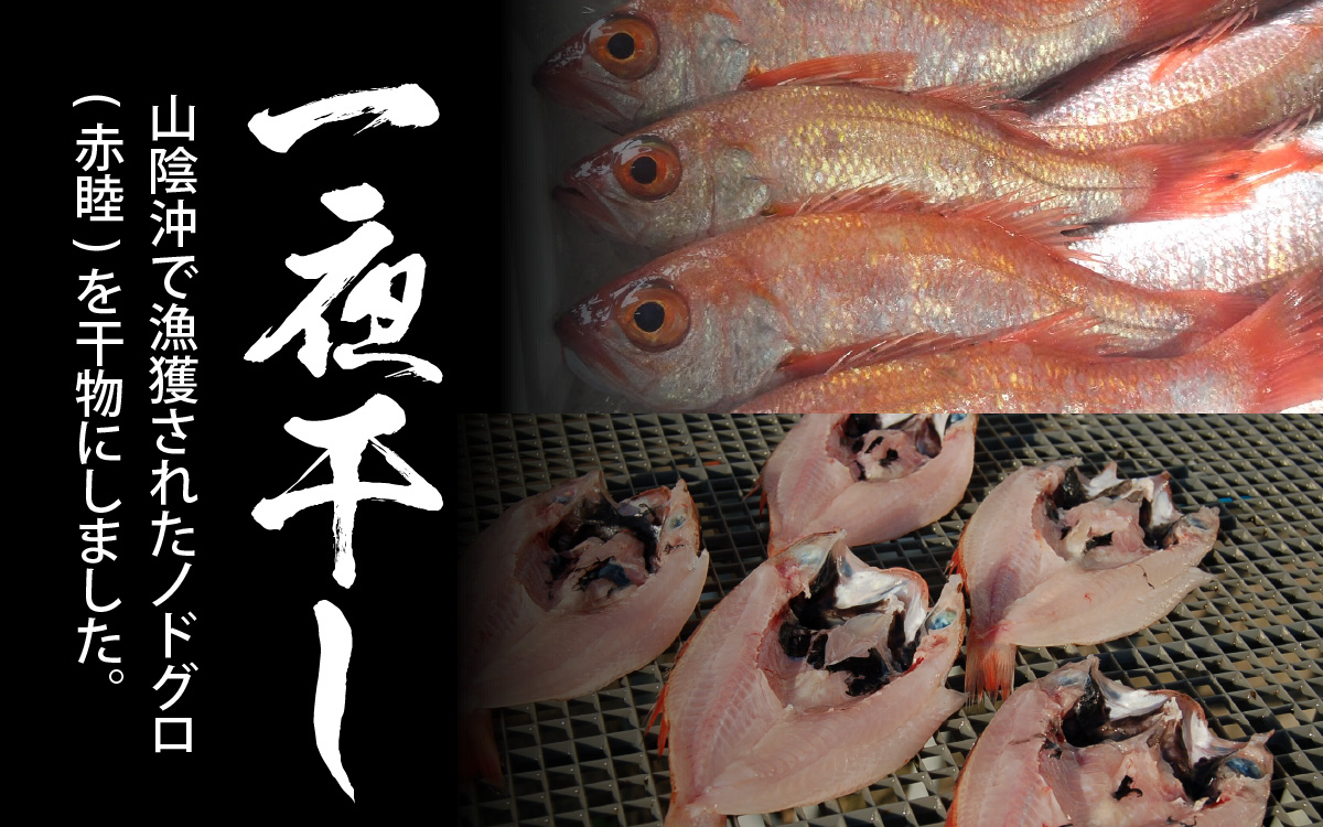 【数量限定】のどぐろ（赤睦）開き一夜干し 中型サイズ（120～150g） 3枚 個包装