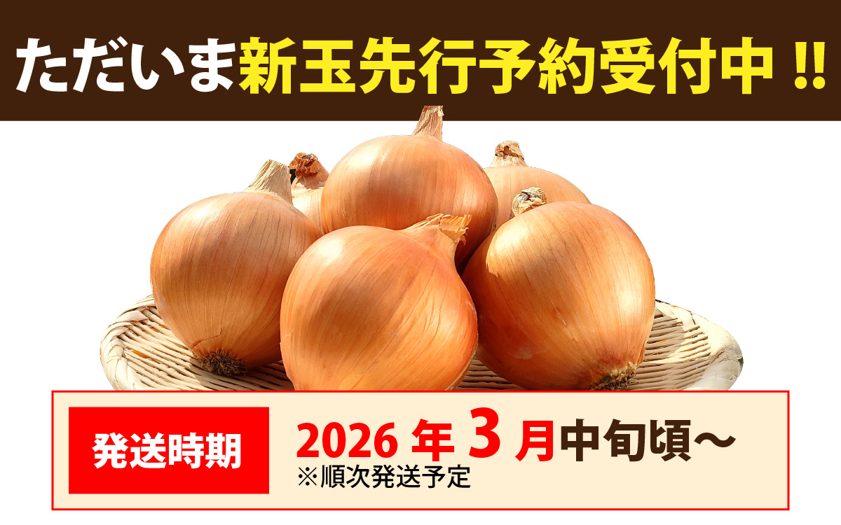 【先行予約】新玉フルーツ玉ねぎ4kg【サイズ色々】※2026年3月中旬頃より順次発送予定
