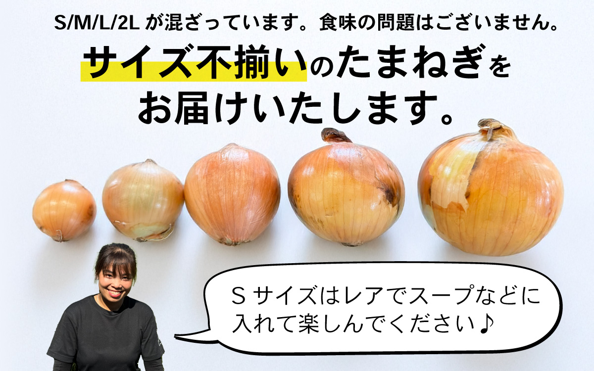 訳あり たまねぎ 5kg 淡路島 フードロス SDGs