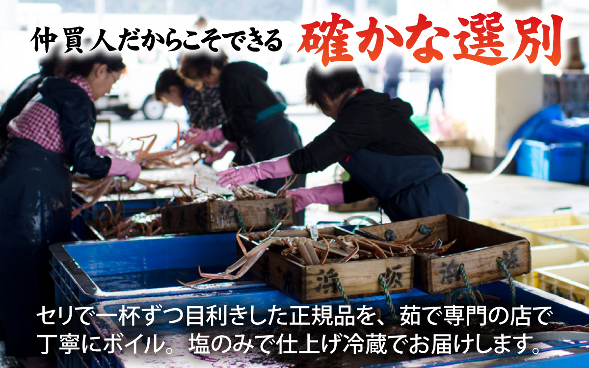 【冷蔵】 【ボイル】 松葉ガニ 500g 1杯