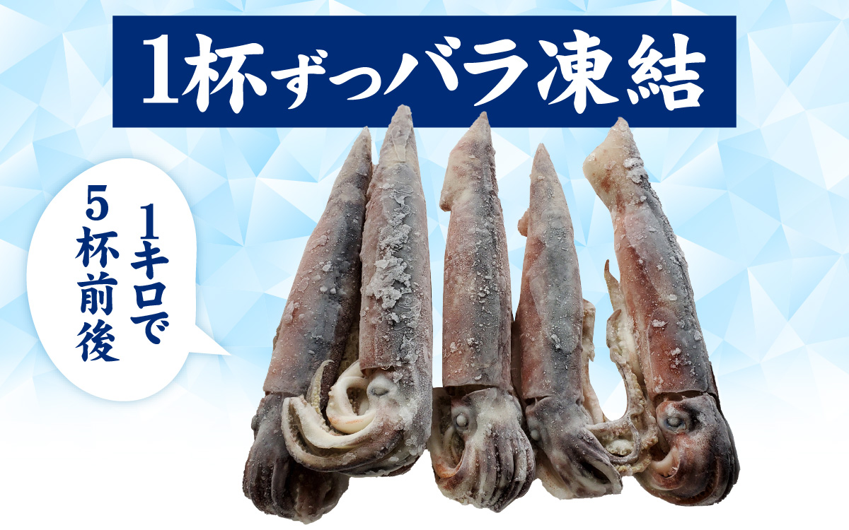 兵庫県産 とれたて スルメイカ 冷凍 約1kg 5杯前後