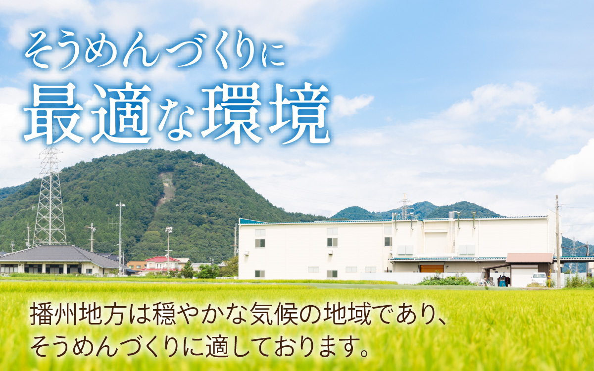 播州そうめん「龍乃糸」1,920ｇ(80g×3束×8パック）【2025年6月中旬より順次発送予定】