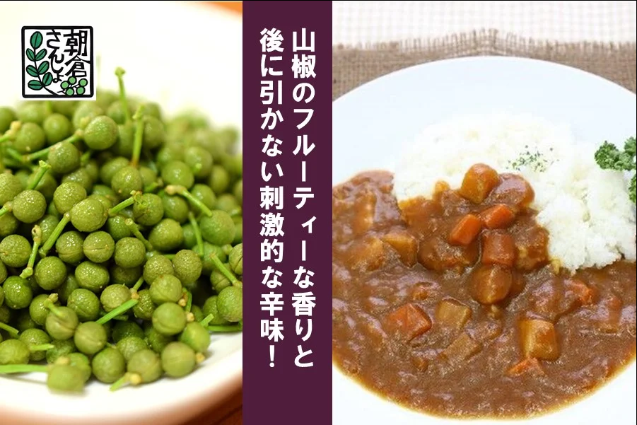 朝倉さんしょカレー（4パック）
