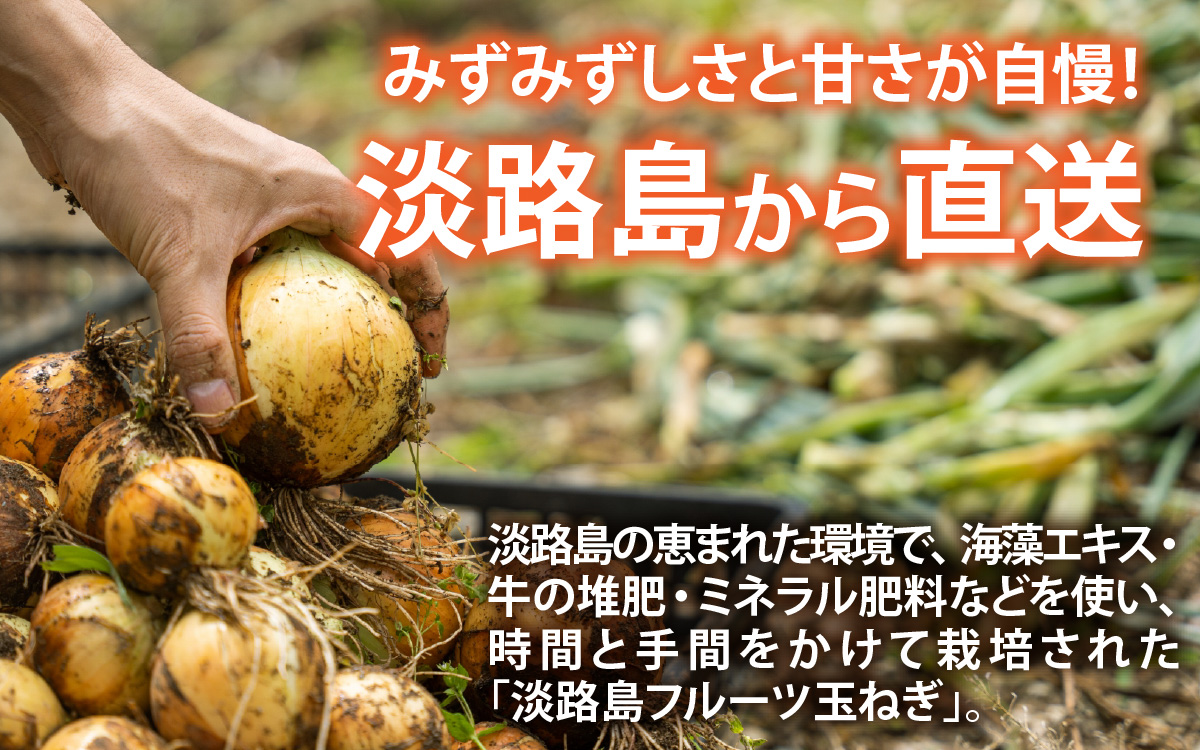 【先行予約】新玉フルーツ玉ねぎ8kg【サイズ色々】※2026年3月中旬頃より順次発送予定