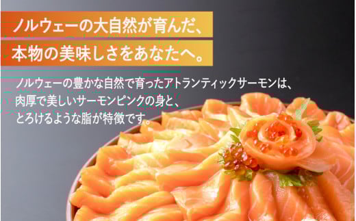 【最速発送】 アトランティックサーモン 450g