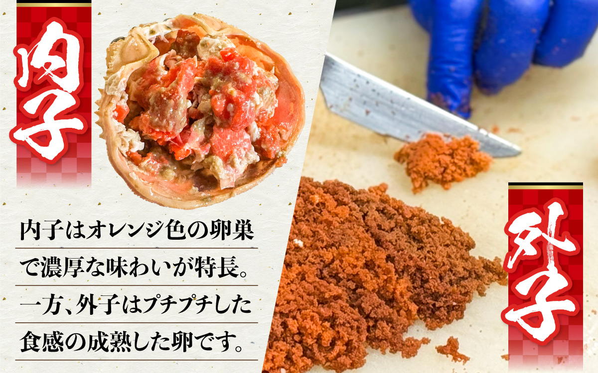 セコガニ 甲羅盛り 3個