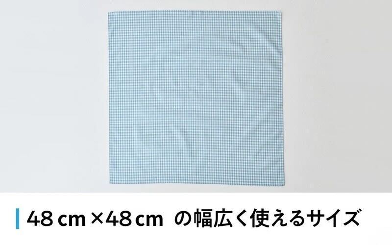 【ギフト対応・ラッピング済】 【播州織】 メンズ用ハンカチ2枚セット A