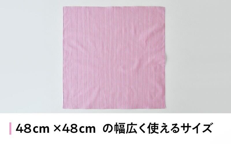 【ギフト対応・ラッピング済】 【播州織】 レディース用ハンカチ2枚セット A