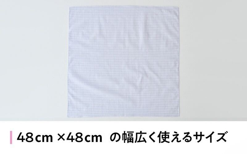 【ギフト対応・ラッピング済】 【播州織】 レディース用ハンカチ2枚セット B