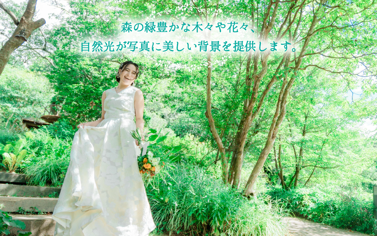 ROKKO森の音ミュージアム ウェディングフォト撮影プラン 15,000円分
