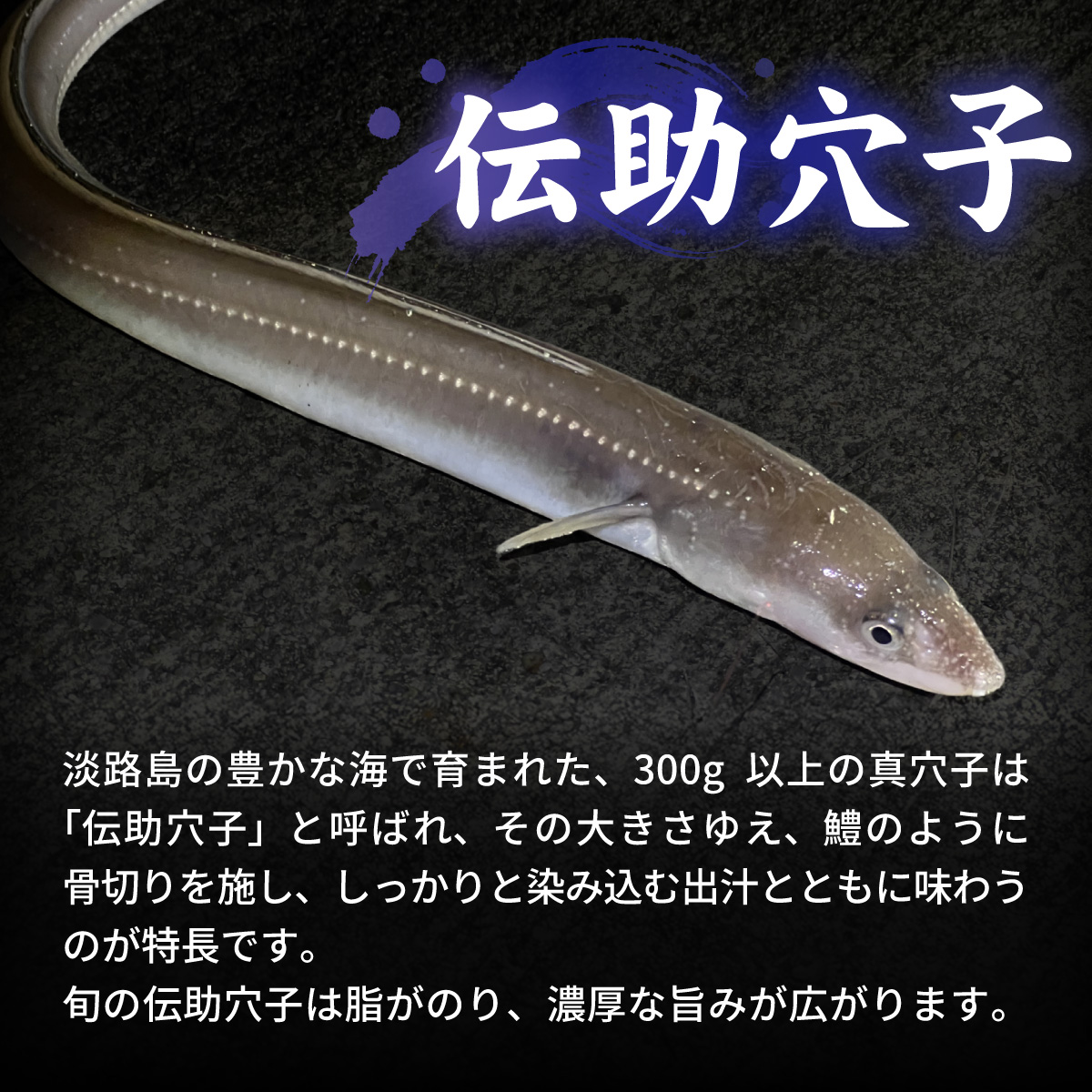 【期間限定】淡路島の「伝助穴子鍋」