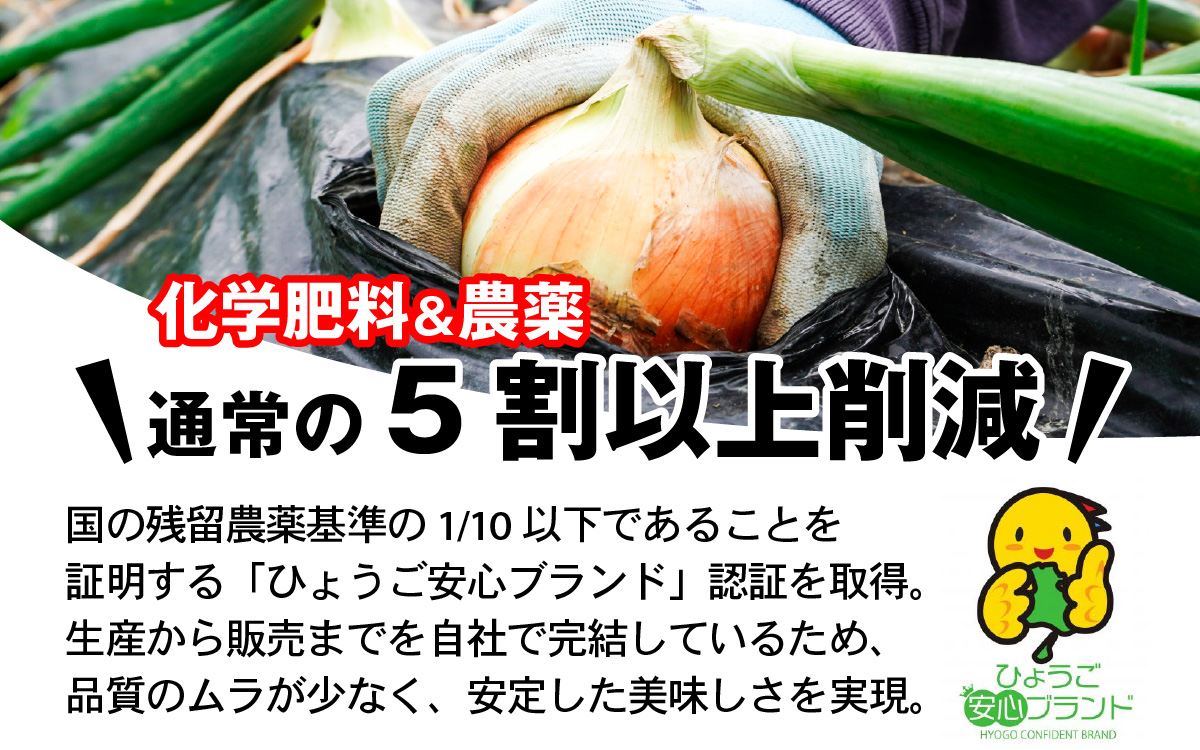 【先行予約】 淡路島 貯蔵玉ねぎ 3kg 訳あり サイズ不揃い 簡易箱でお届け