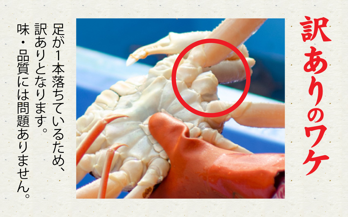 【訳あり】松葉がに 500g 1杯 1足落ち(ボイル)