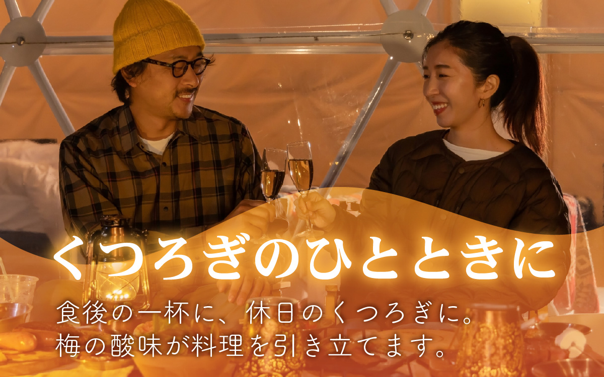 日の出みりん キング醸造 梅酒 180ml/30本