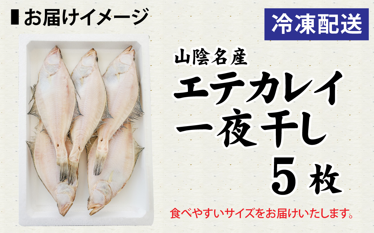 山陰名産 エテカレイ 一夜干し 食べやすいサイズ 5枚 / カレイ 干物