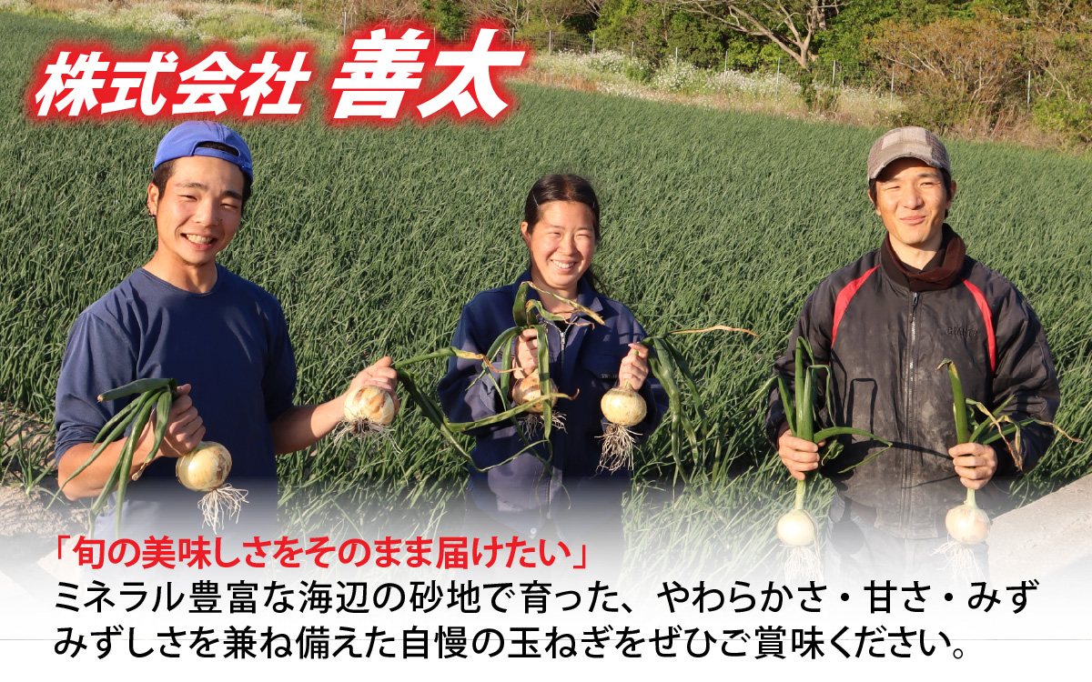 熟成フルーツ玉ねぎ8kg【サイズ色々】