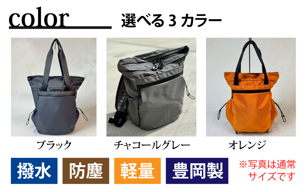 レイズ２WAYミニ BK