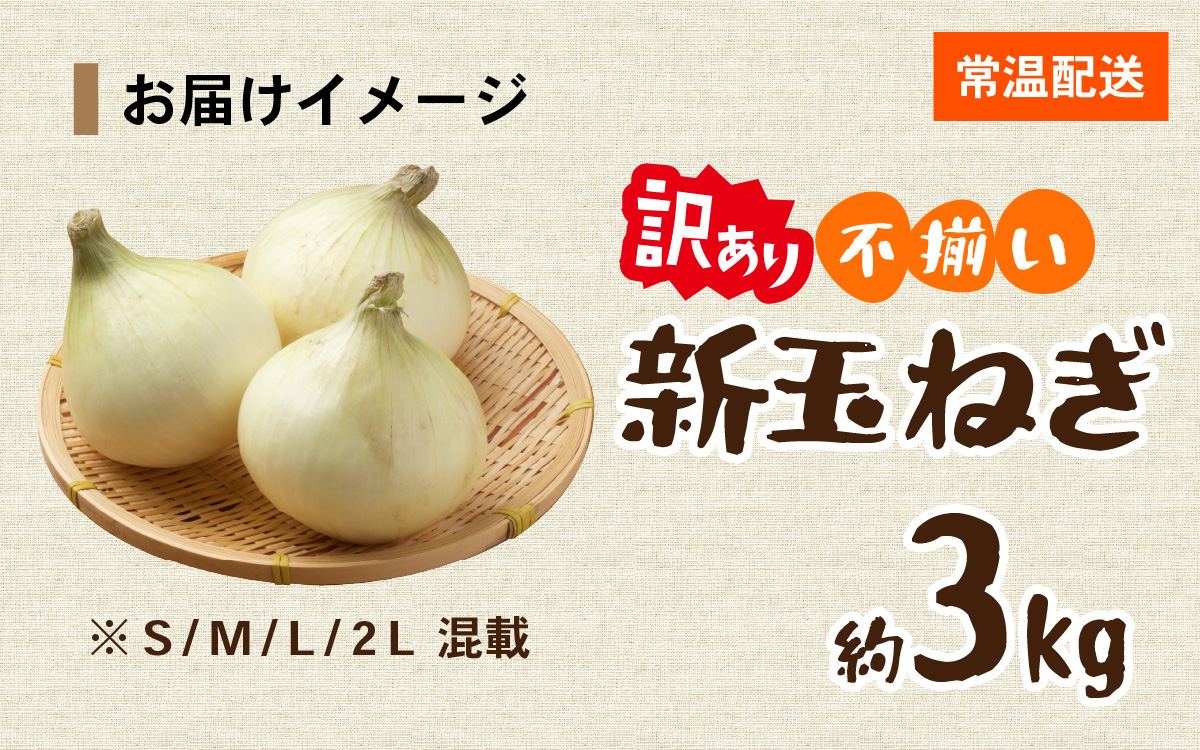 淡路島 新玉ねぎ 3kg 訳あり サイズ不揃い 簡易箱でお届け