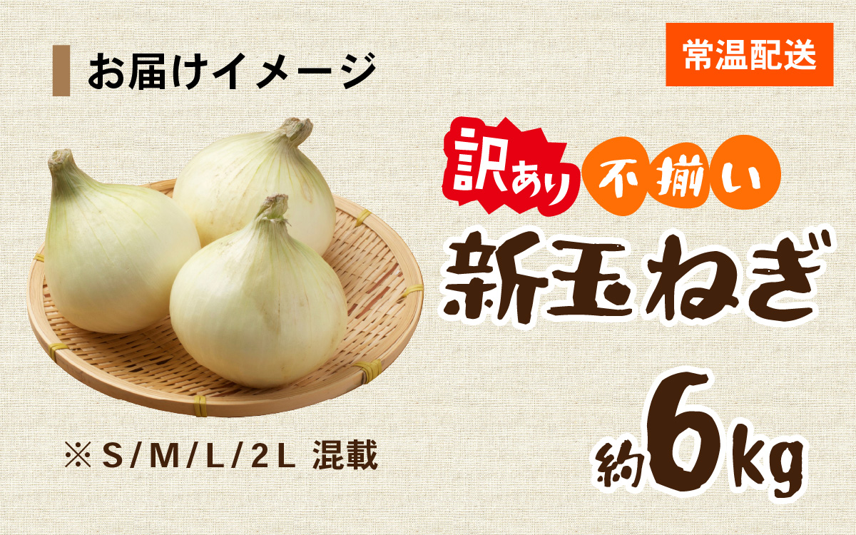淡路島 新玉ねぎ 6kg 訳あり サイズ不揃い 簡易箱でお届け