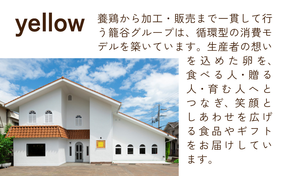 yellowジェラートセット ジェラート 8種 8個 （1個 120ml） hyogo special selection / ジェラート アイス アイスクリーム スイーツ カップアイス カップ カスタード ブルーベリー きな粉 クリームリーズ お菓子 ギフト プレゼント