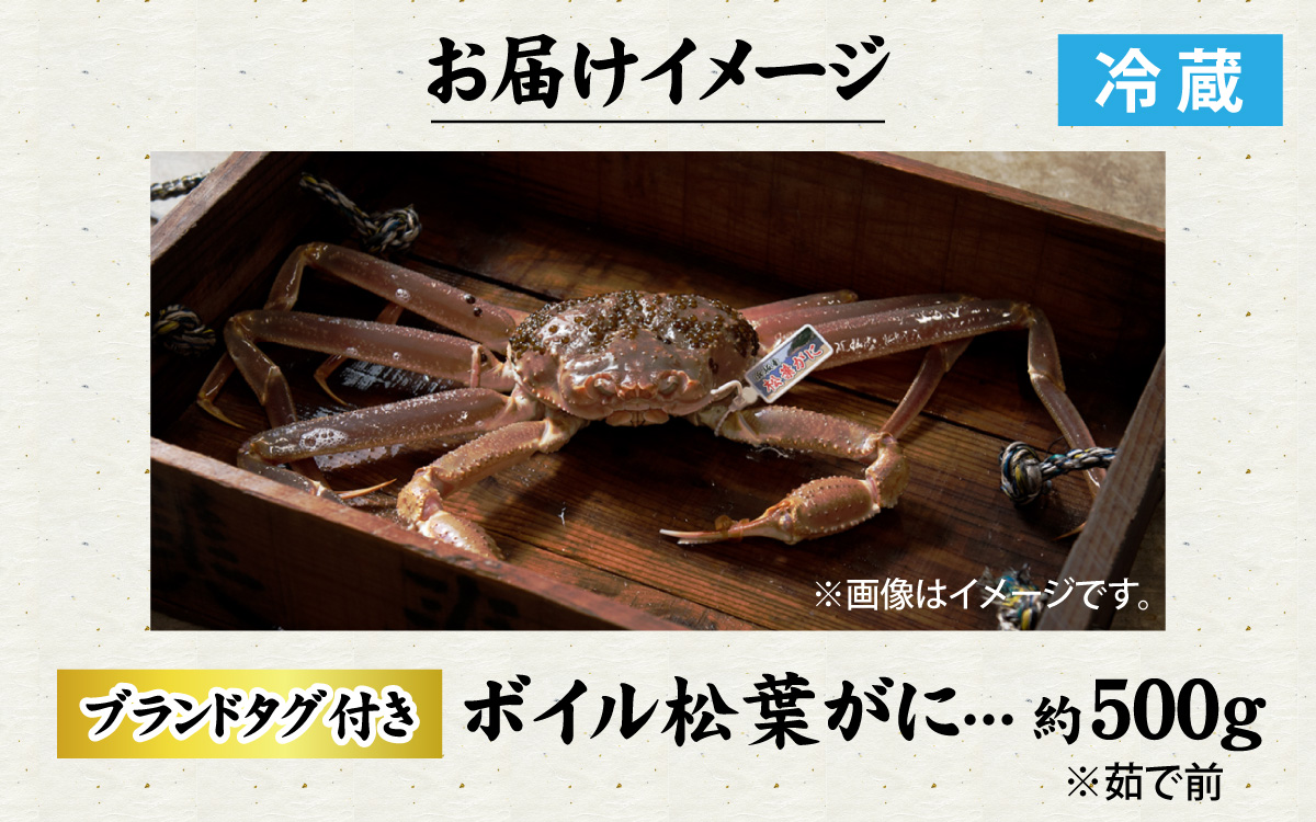 【冷蔵】 【ボイル】 松葉ガニ 500g 1杯