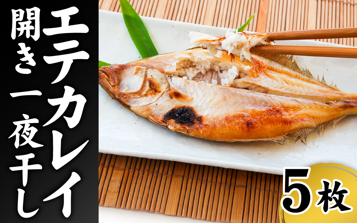 山陰名産 エテカレイ 一夜干し 食べやすいサイズ 5枚 / カレイ 干物