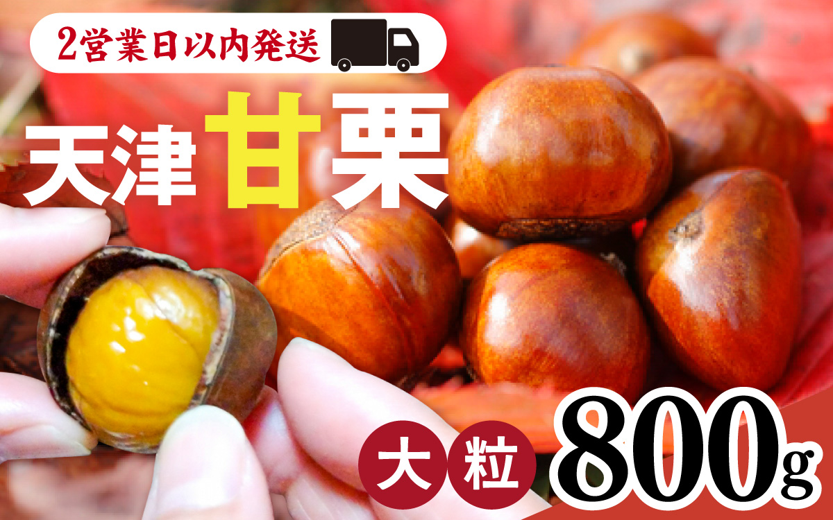天津甘栗 800g ／ 焼きたて 栗 くり マロン 秋 おやつ 栗爪 殻付き お菓子 おつまみ 人気 高リピート 小分け 栗ご飯 栗きんとん 甘露煮 こだわり 手軽 おためし お試し