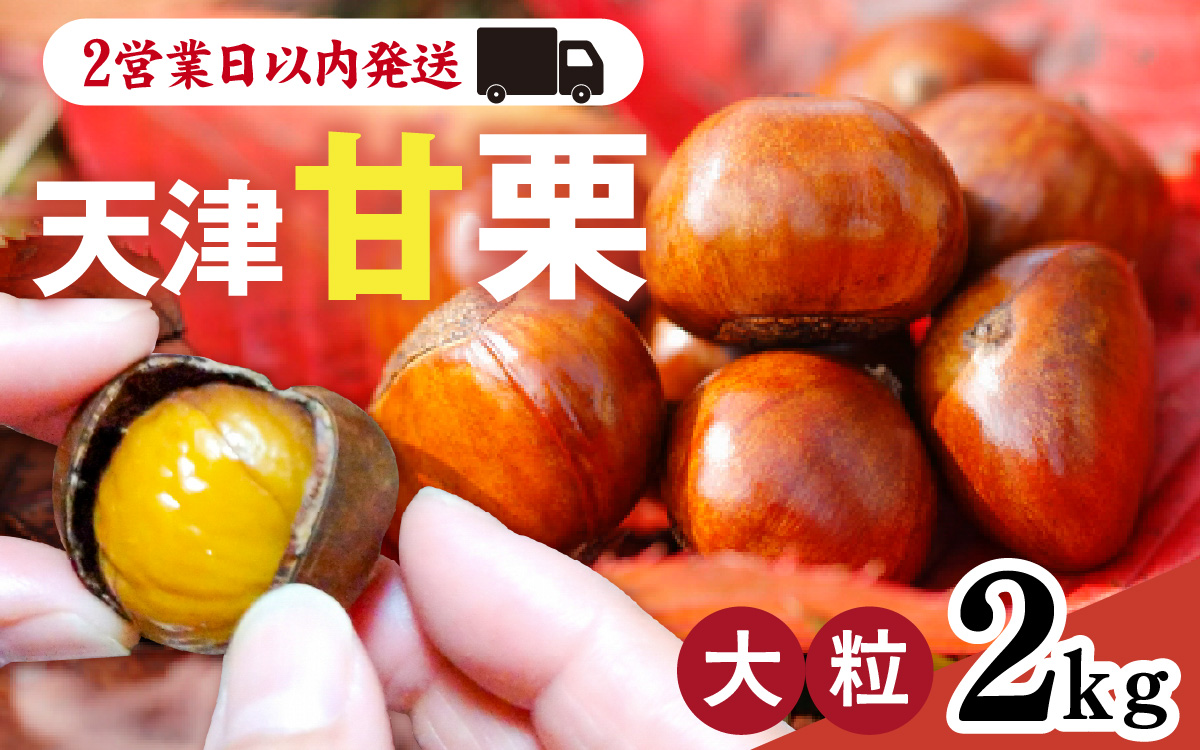 天津甘栗 2kg ／ 焼きたて 栗 くり マロン 秋 おやつ 栗爪 殻付き お菓子 おつまみ 人気 高リピート 小分け 栗ご飯 栗きんとん 甘露煮 こだわり 手軽 おためし お試し