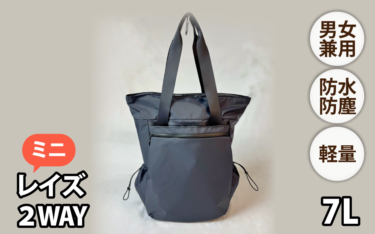 レイズ２WAYミニ BK