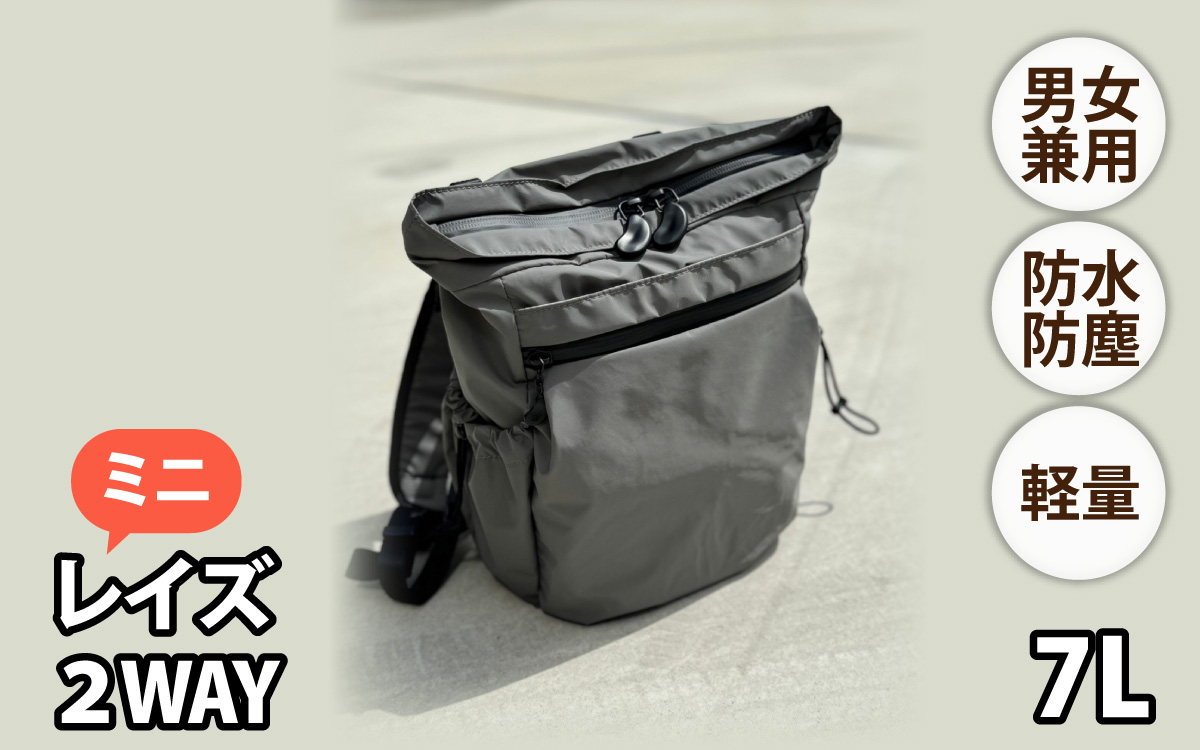 レイズ２WAYミニ GRY