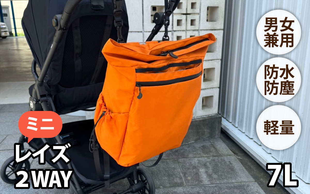 レイズ２WAY ミニ OR