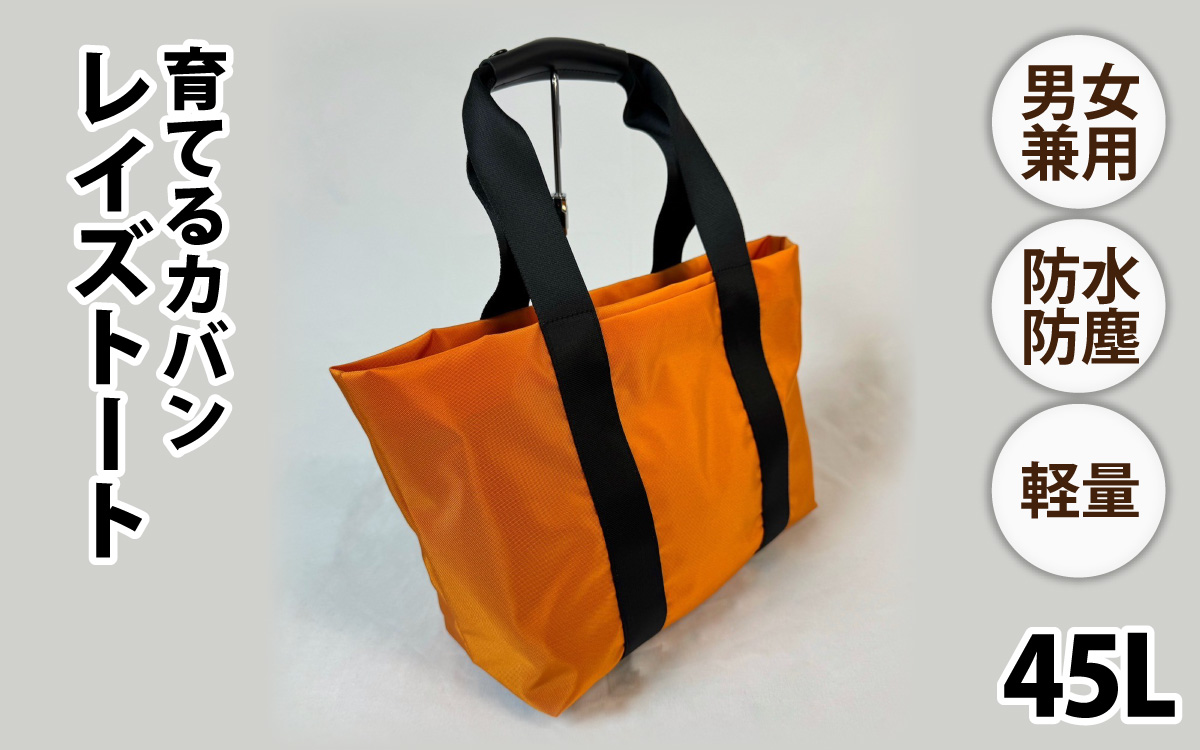 レイズトート OR