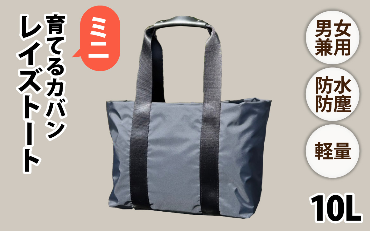 レイズトート ミニ BK