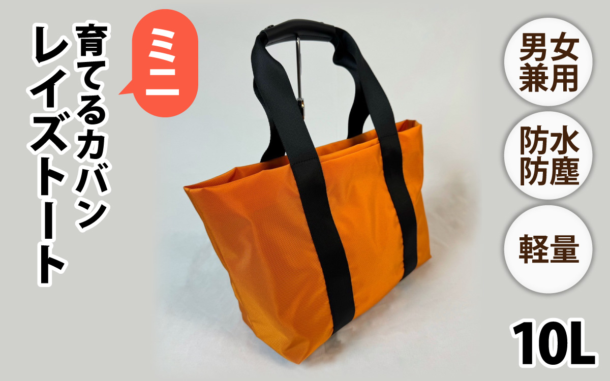 レイズトート ミニ OR