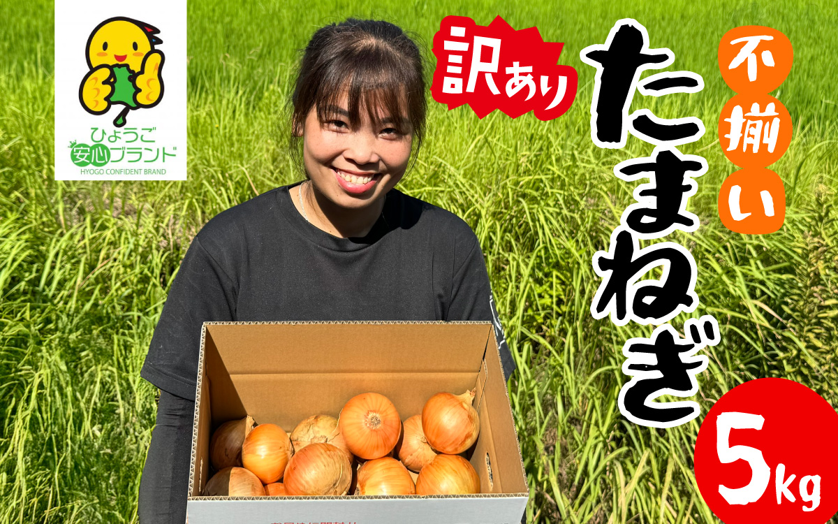 訳あり たまねぎ 5kg 淡路島 フードロス SDGs