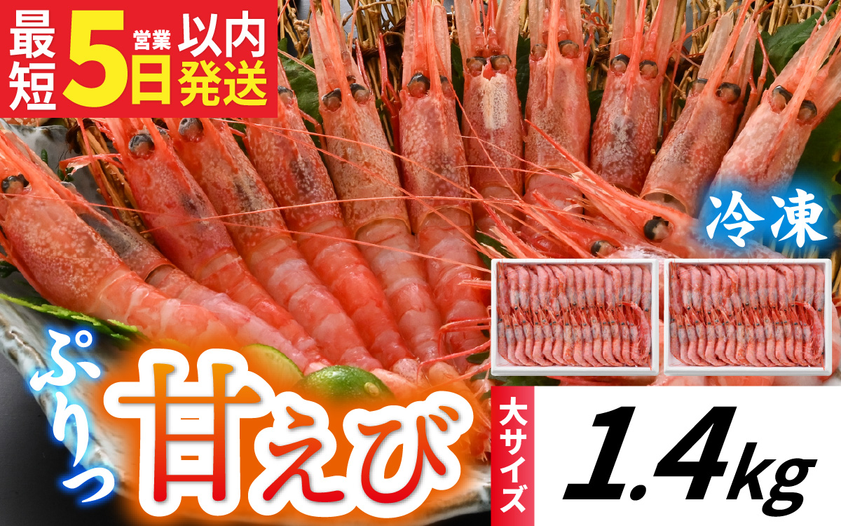 甘えび (大サイズ) 約1,400g 天然・鮮度抜群！【発泡箱】 船内冷凍 64尾
