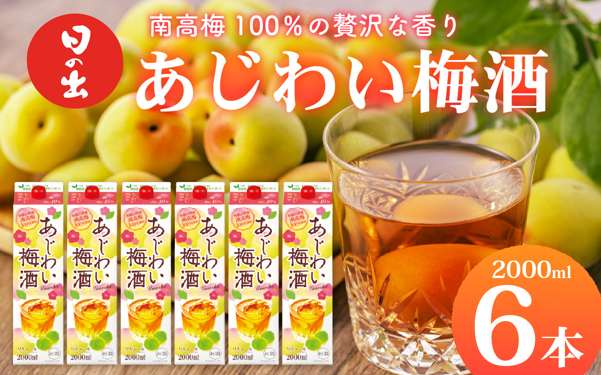 日の出みりん あじわい梅酒（南高梅100％）2L/6本