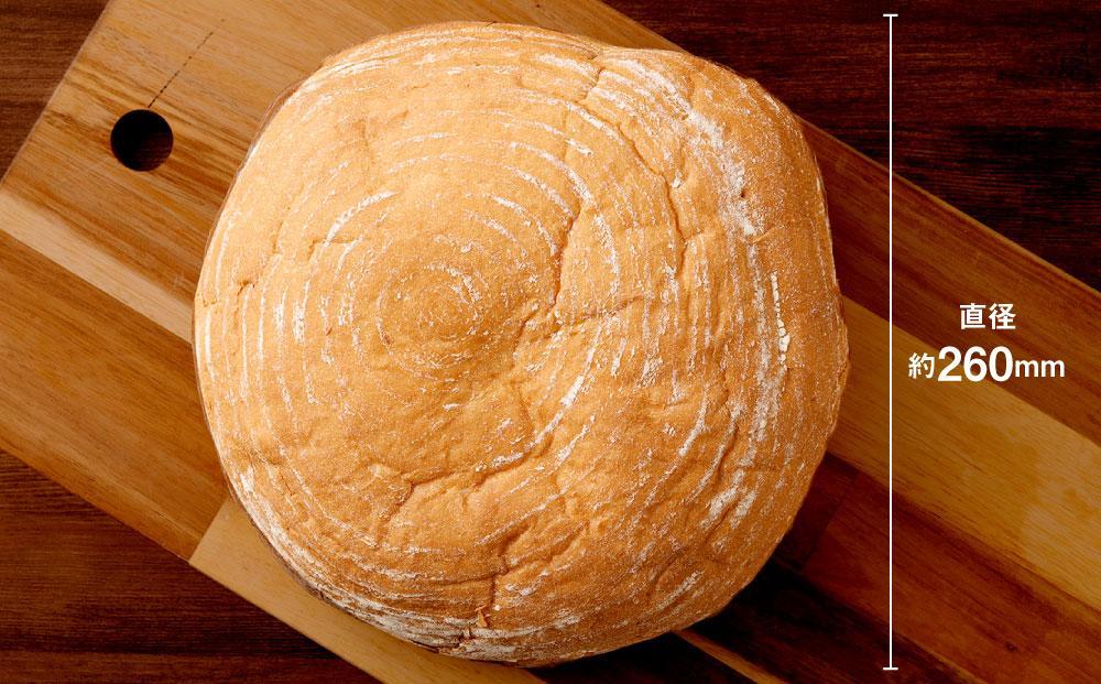 ドライフルーツをたっぷり使ったパン「フルーツレディー」